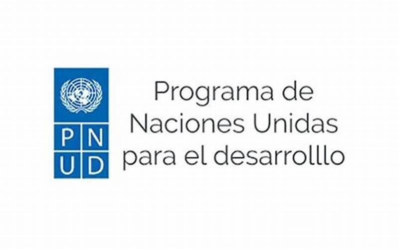Cámara de la Construcción de Machala mantuvo reunión con el Programa de las Naciones Unidas para el Desarrollo (PNUD) para explorar oportunidades de cooperación&nbsp;internacional